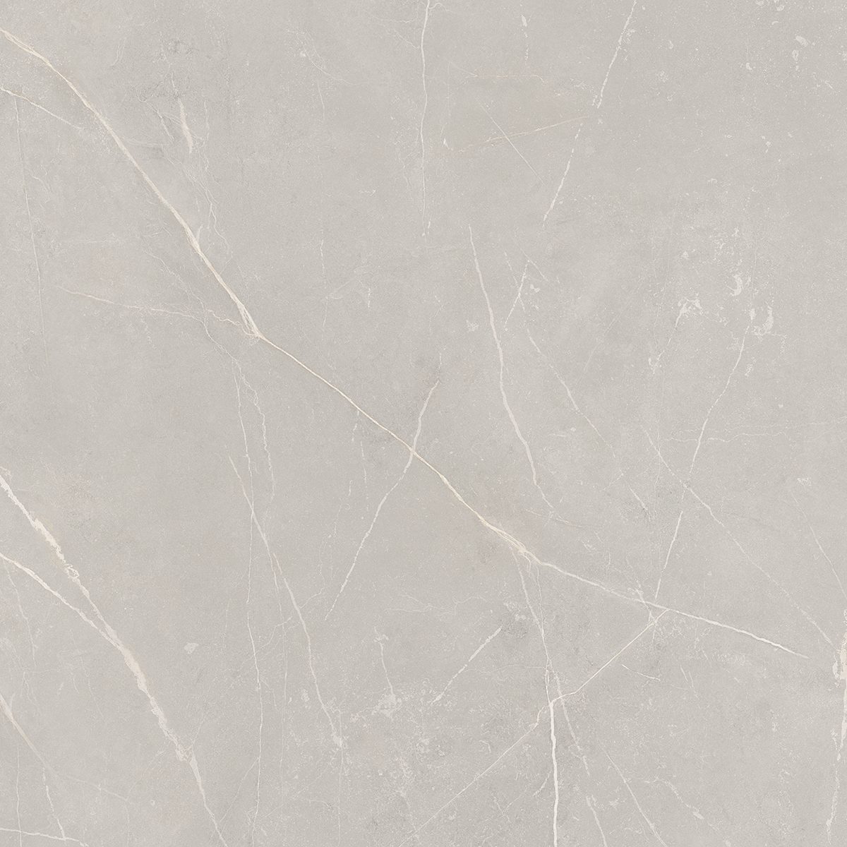 NL02 Nolana Light Grey 600x600 неполированный серый