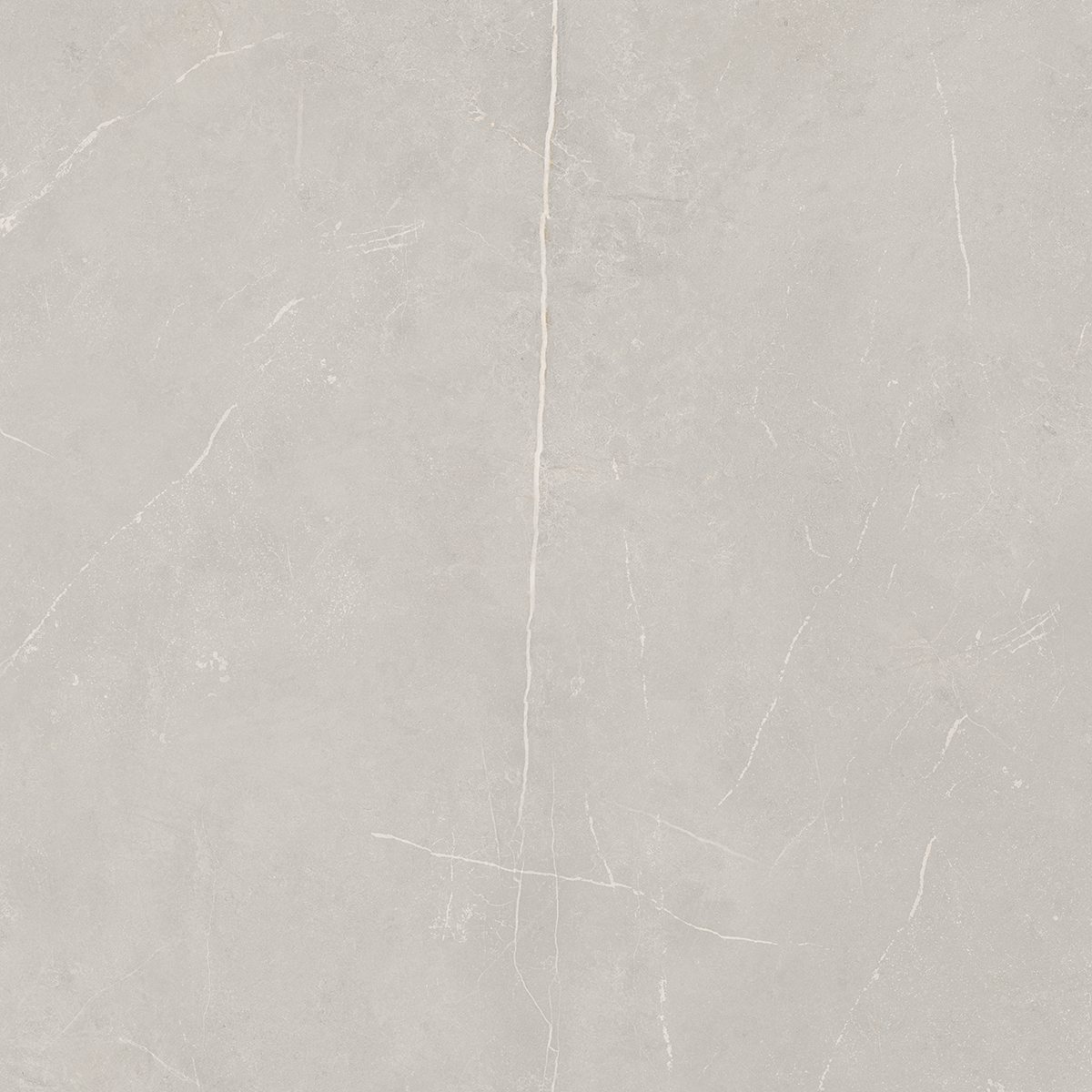 NL02 Nolana Light Grey 800x800 неполированный серый