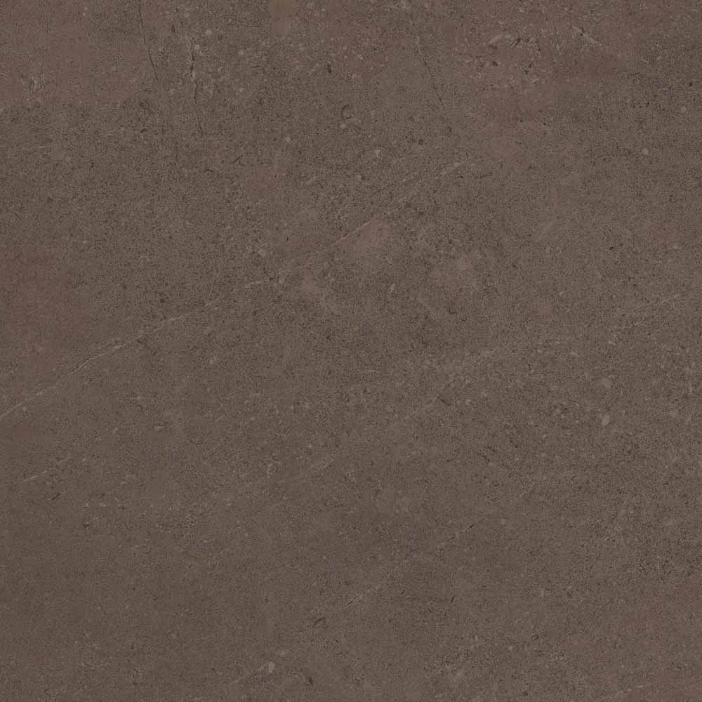 GO03 Gobi Brown Grey 600x600 неполированный коричневый