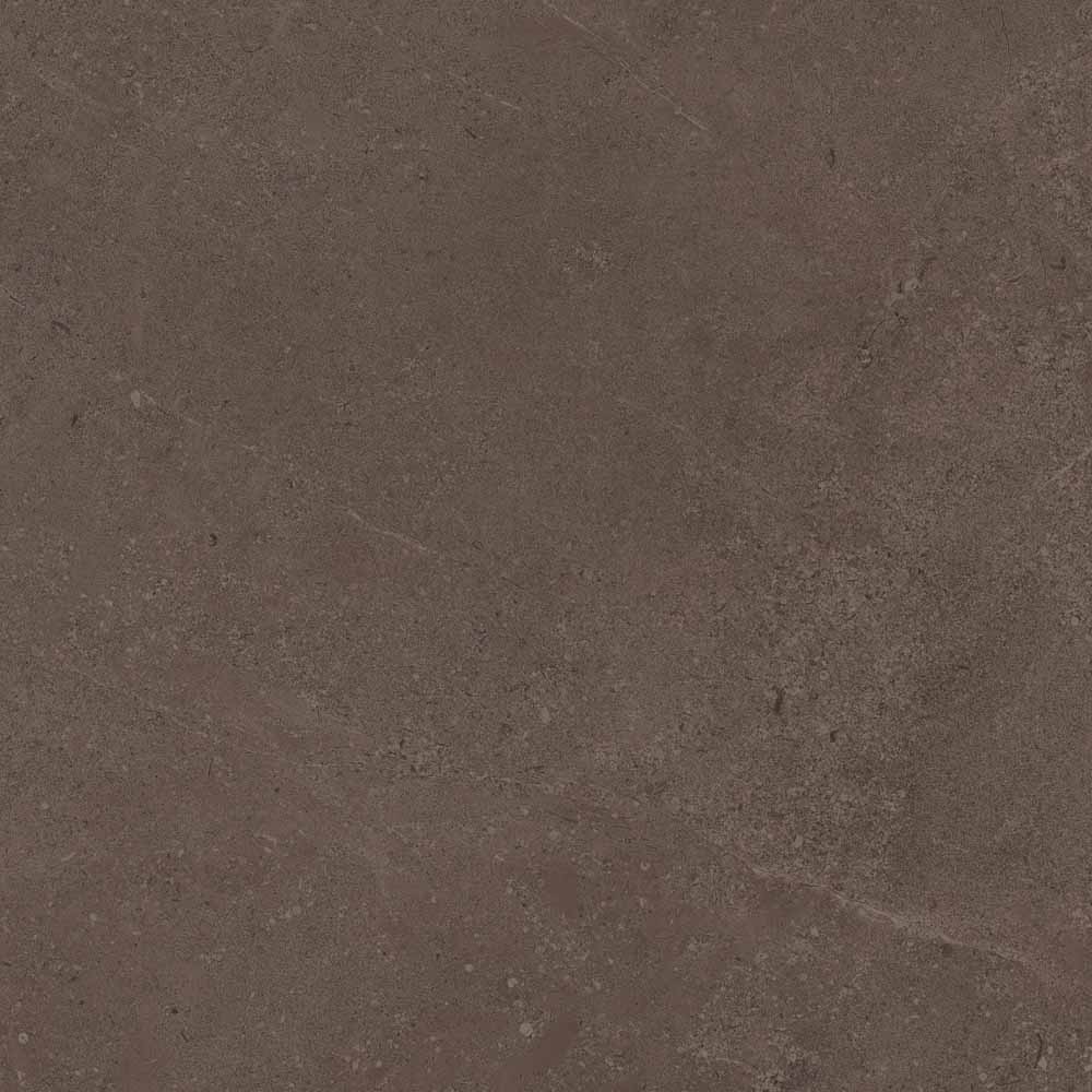 GO03 Gobi Brown Grey 600x600 неполированный коричневый